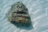 PF Moorea 9-10-2012_002